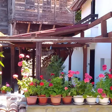 Fotini 2 Sozopol