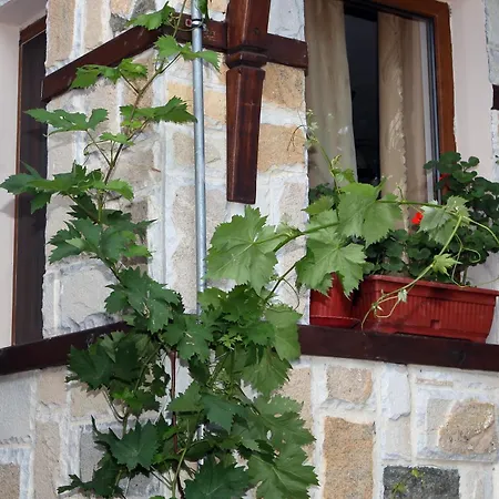 Pensión Fotini 2 Sozopol